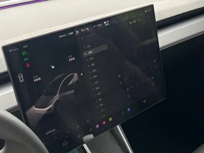 Tesla Model Y L