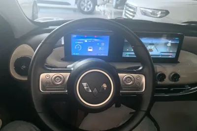 Wuling Bingo