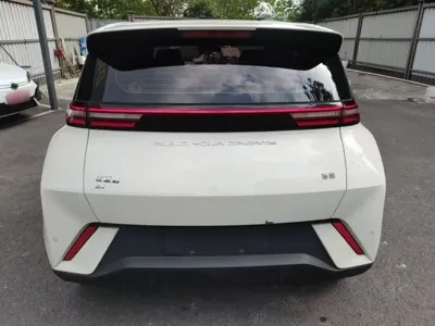 BYD Seagull