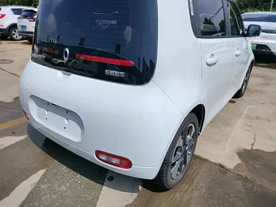 ORA Ora White Cat