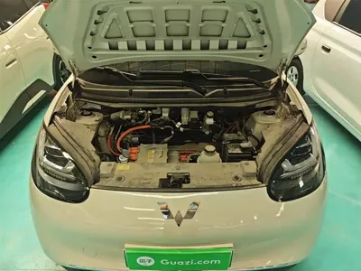 Wuling Bingo