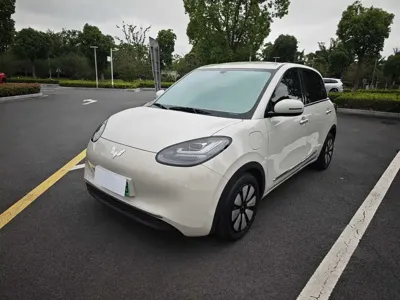 Wuling Bingo