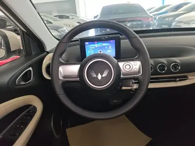 Wuling Bingo