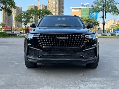 Zotye Zotye T700