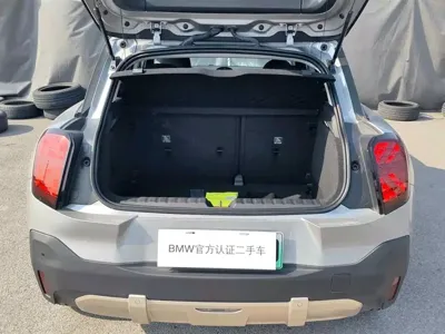 MINI MINI ACEMAN EV