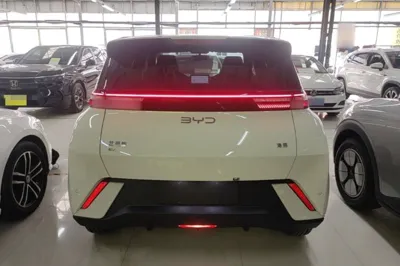 BYD Seagull