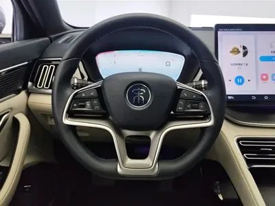 BYD PLUS New Energy