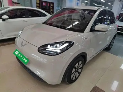 Wuling Bingo
