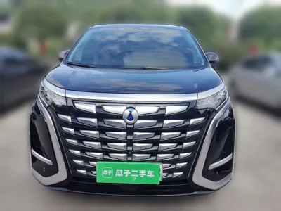 Denza D9