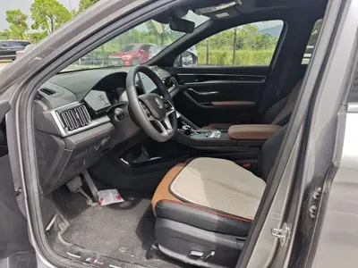 BYD PLUS