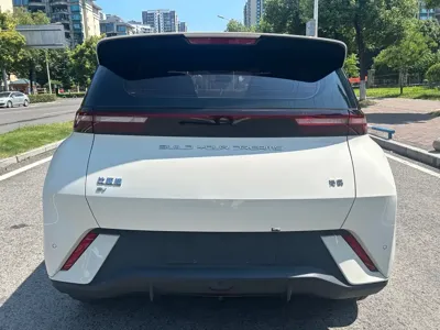 BYD Seagull