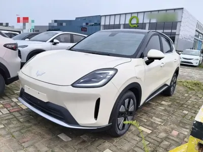Wuling 缤果S