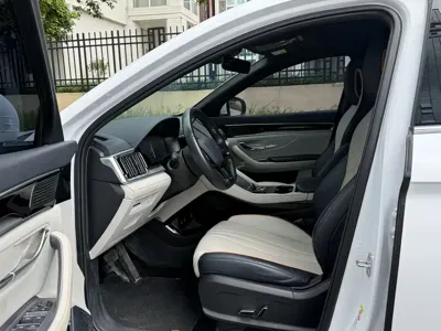 BYD PLUS New Energy