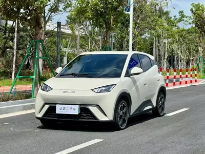 BYD Seagull