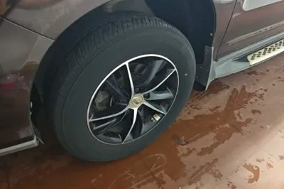 BYD S7