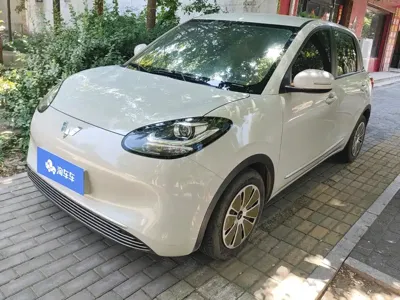 Wuling Bingo