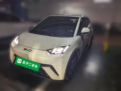 BYD Seagull