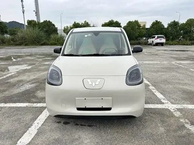 Wuling MINIEV