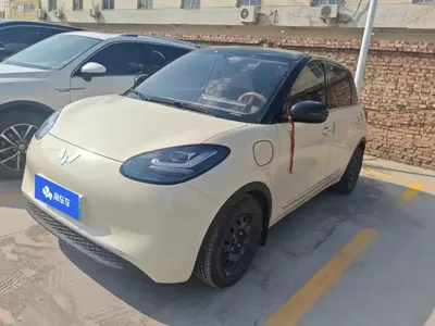 Wuling Bingo