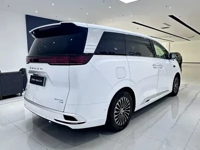 Denza Denza D9