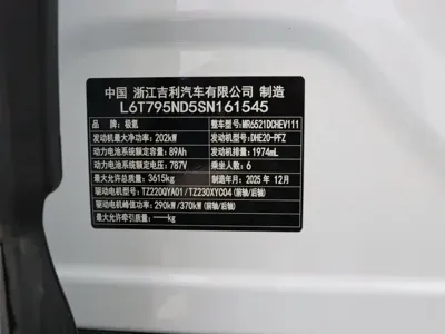 Zeekr 极氪9X