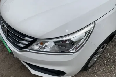 Baojun 310