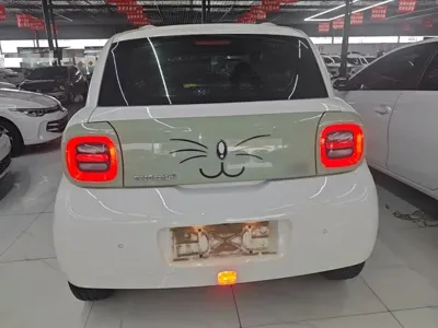ORA Ora Black Cat