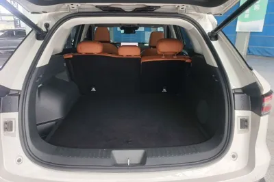 Haval Fierce Dragon Max