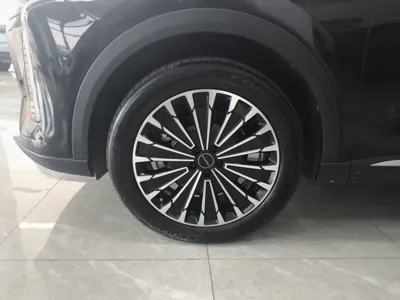 Xingtu Yaoguang C-DM