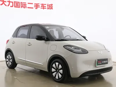 Wuling Bingo