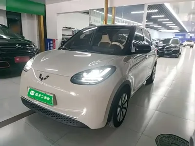 Wuling Bingo