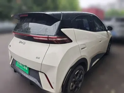 BYD Seagull