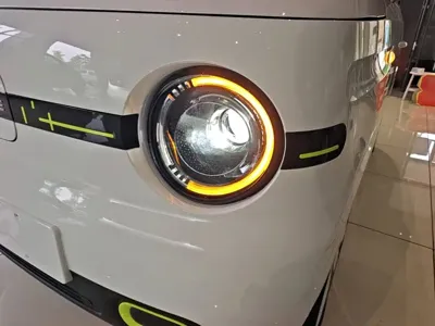 Galaxy Panda