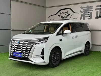 Denza Denza D9