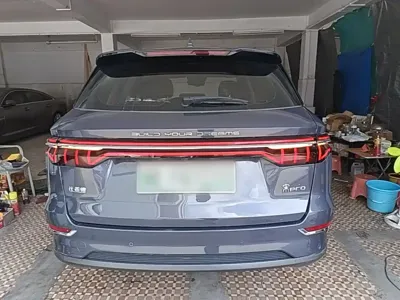 BYD Pro New Energy