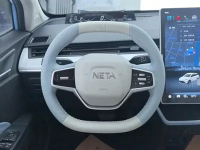 NETA Neta AYA