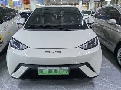 BYD Seagull