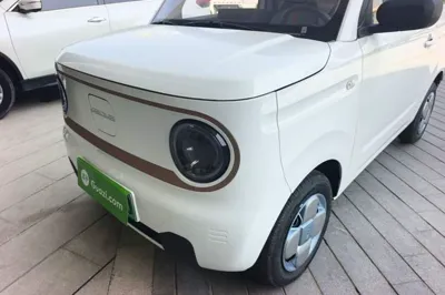 Geely Galaxy Panda