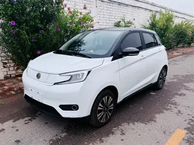 Dongfeng EV YOUNG Guang Xiaoxin