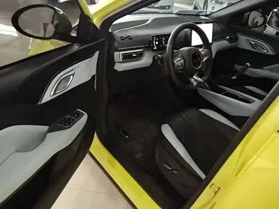 BYD Seagull