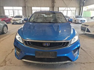 Geely Binrui