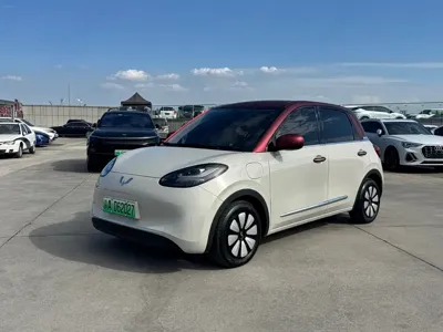 Wuling Bingo