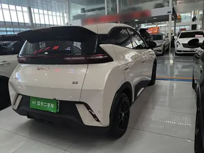 BYD Seagull