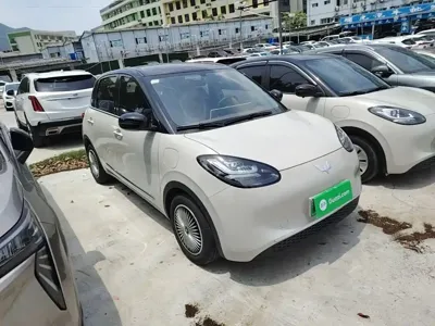 Wuling Bingo