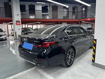 BMW 5 Series New Energy