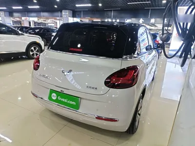 Wuling Bingo