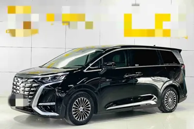Denza D9