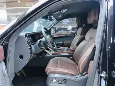 Hongqi 红旗金葵花国耀