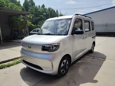 Wuling Zhiguang EV