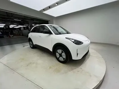NETA Neta V